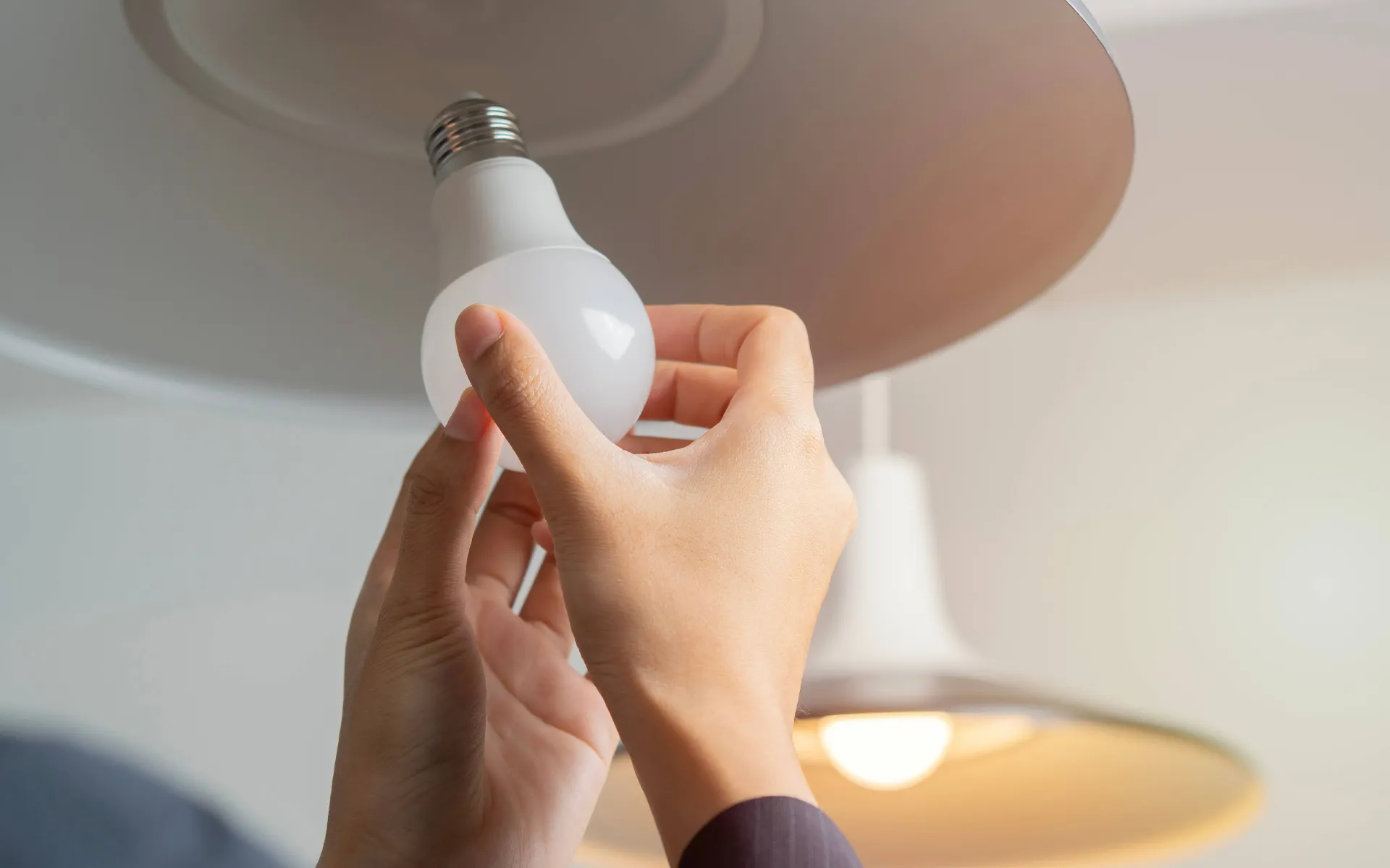 株式会社大新電気